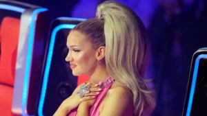 Shirin David Vermögen